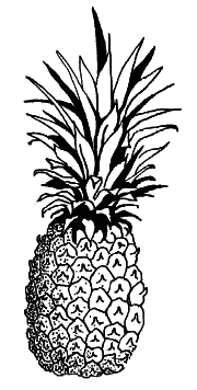 Clipart pineapple
